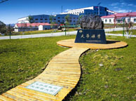 池州天华矿业集团
